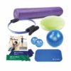 Pilates Essentials Kit - merrithew