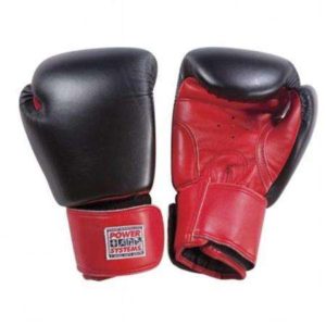 PowerForce Boxing Gloves